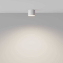 Потолочный светильник Maytoni Technical Glam C096L-GX53-WBS