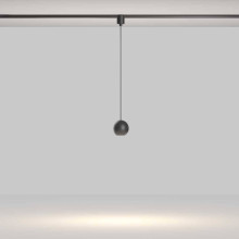 Трековый подвесной светильник Maytoni Technical TR165-1-8W3K-M-B