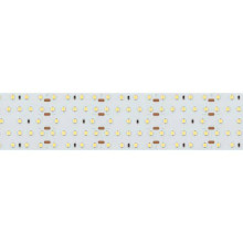 Светодиодная лента Arlight 30W/m 420LED/m 2835SMD дневной белый 2,5M 021204(2)