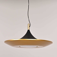 Подвесной светодиодный светильник Imperium Loft Rask 151756-26