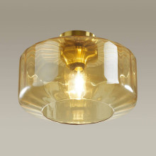 Потолочный светильник Odeon Light Pendant Binga 4747/1C