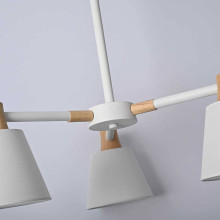 Подвесная люстра Imperium Loft Natura 101826-26