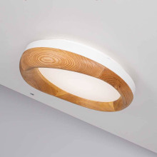 Потолочный светодиодный светильник Imperium Loft Runis 140974-26