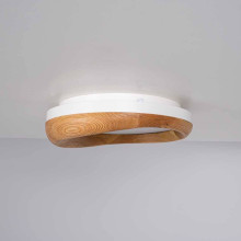 Потолочный светодиодный светильник Imperium Loft Runis 140974-26