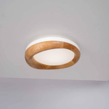 Потолочный светодиодный светильник Imperium Loft Runis 140974-26