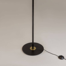 Торшер Maytoni MOD348FL-L24BBS3K