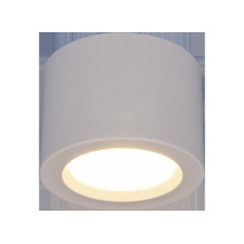 Потолочный светодиодный светильник Elektrostandard DLR026 6W 4200K белый матовый a040440