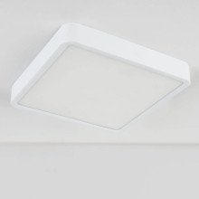 Потолочный светодиодный светильник Elektrostandard DLS034 18W 4200K a043017