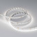 Светодиодная лента Arlight 7,7W/m 144LED/m 2835SMD холодный белый 5M RT-A144-10mm 24V White6000 038783