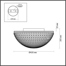 Потолочный светильник Odeon Light Modern Malaga 4937/4C