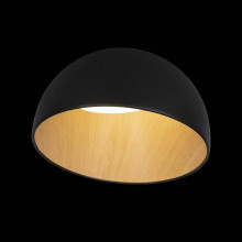 Потолочный светодиодный светильник Loft IT Egg 10197/350 Black