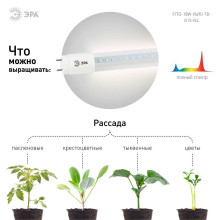 Лампа светодиодная для растений ЭРА G13 18W 1200K прозрачная Fito-18W-Ra90-Т8-G13-NL Б0042987