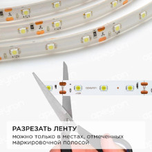 Светодиодная влагозащищенная лента Apeyron 4,8W/m 60LED/m 3528SMD холодный белый 2,5M 10-20