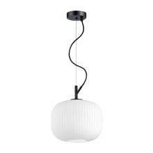 Подвесной светильник Odeon Light Pendant Roofi 4753/1