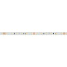 Светодиодная лента Arlight 9,6W/m 120LED/m 2216SMD дневной белый 5M 024413(2)