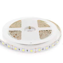 Светодиодная лента Apeyron 14,4W/m 60LED/m 5050SMD холодный белый 5M 15BL