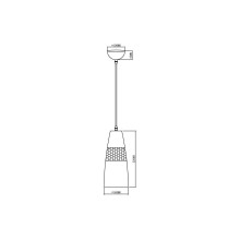 Подвесной светильник Vele Luce Lucky VL5393P21