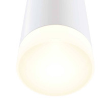 Настенный светильник Maytoni Dafne C027WL-L10W