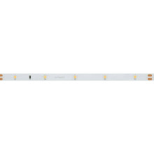 Светодиодная лента Arlight 2,9W/m 30LED/m 3528SMD холодный белый 5M 019916(1)