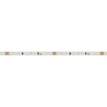 Светодиодная лента Arlight 9,6W/m 120LED/m 2216SMD холодный белый 5M 024410(2)