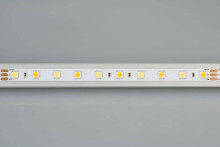 Светодиодная лента Arlight 14,4W/m 60LED/m 5060SMD холодный/теплый белый 5M RT-B60-10mm 24V White-MIX 025213(1)