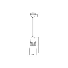 Подвесной светильник Vele Luce Lucky VL5394P21