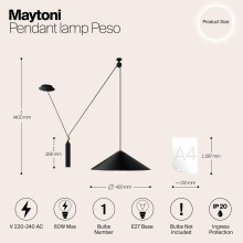 Подвесной светильник Maytoni Technical Peso P080PL-01B
