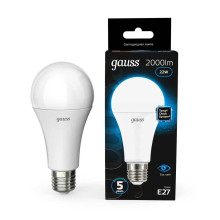 Лампа светодиодная Gauss E27 22W 6500K матовая 102502322