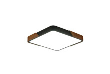 Потолочный светильник Zortes ALBERRO ZRS.01288.36