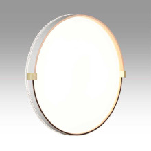 Настенно-потолочный светодиодный светильник Sonex Pale Olidi White 7646/DL