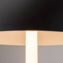 Настольная лампа Maytoni Ray Z012TL-L8B3K