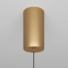 Подвесной светильник Maytoni Ray P022PL-L20G3K