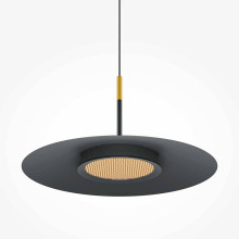 Подвесной светодиодный светильник Maytoni El MOD041PL-L15B3K1