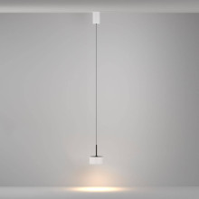 Подвесной светильник Maytoni Technical P102PL-12W3K-W