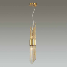 Подвесной светильник Odeon Light Hall Flambi 4847/2