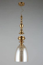 Подвесной светильник Aployt Rena APL.602.06.01