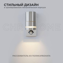 Уличный настенный светильник Apeyron Chrome 11-113