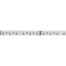 Светодиодная лента Arlight 19,2W/m 60LED/m 5060SMD разноцветный/холодный белый 5M 019096(2)