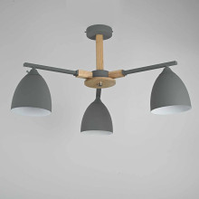 Потолочная люстра Imperium Loft Noa 101838-26