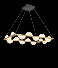 Подвесной светильник Vele Luce Drop VL7194P16