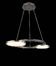 Подвесной светильник Vele Luce Medusa VL7272P02