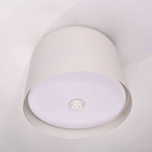 Потолочный светильник Imperium Loft Cylinder 101495-26