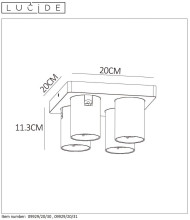 Спот Lucide Nigel 09929/20/31