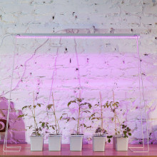 Настенный светодиодный светильник для растений Uniel ULI-P21-24W/SPSB IP40 White UL-00008921