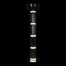 Торшер светодиодный Loft IT Noctambule 10192F/L