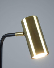 Настольная лампа Moderli Fine V11002-TL