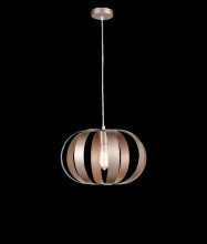 Подвесной светильник Vele Luce Ophir VL5324P21