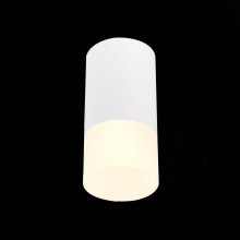 Потолочный светильник ST Luce ST100.512.01