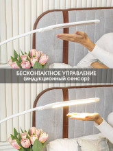 Настольная светодиодная лампа на струбцине Lucia Fleksa PRO L575 4606400056058