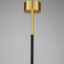 Подвесная люстра Favourite Maximo 2623-12P